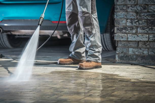 Best Dumpster Area Cleaning  in Walsenburg, CO