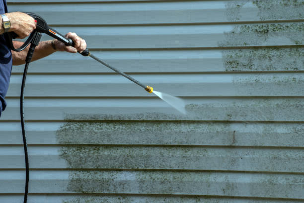 Best Sidewalk and Walkway Cleaning  in Walsenburg, CO
