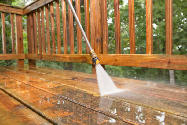 Best Pool Deck Cleaning  in Walsenburg, CO